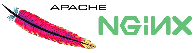nginx logo